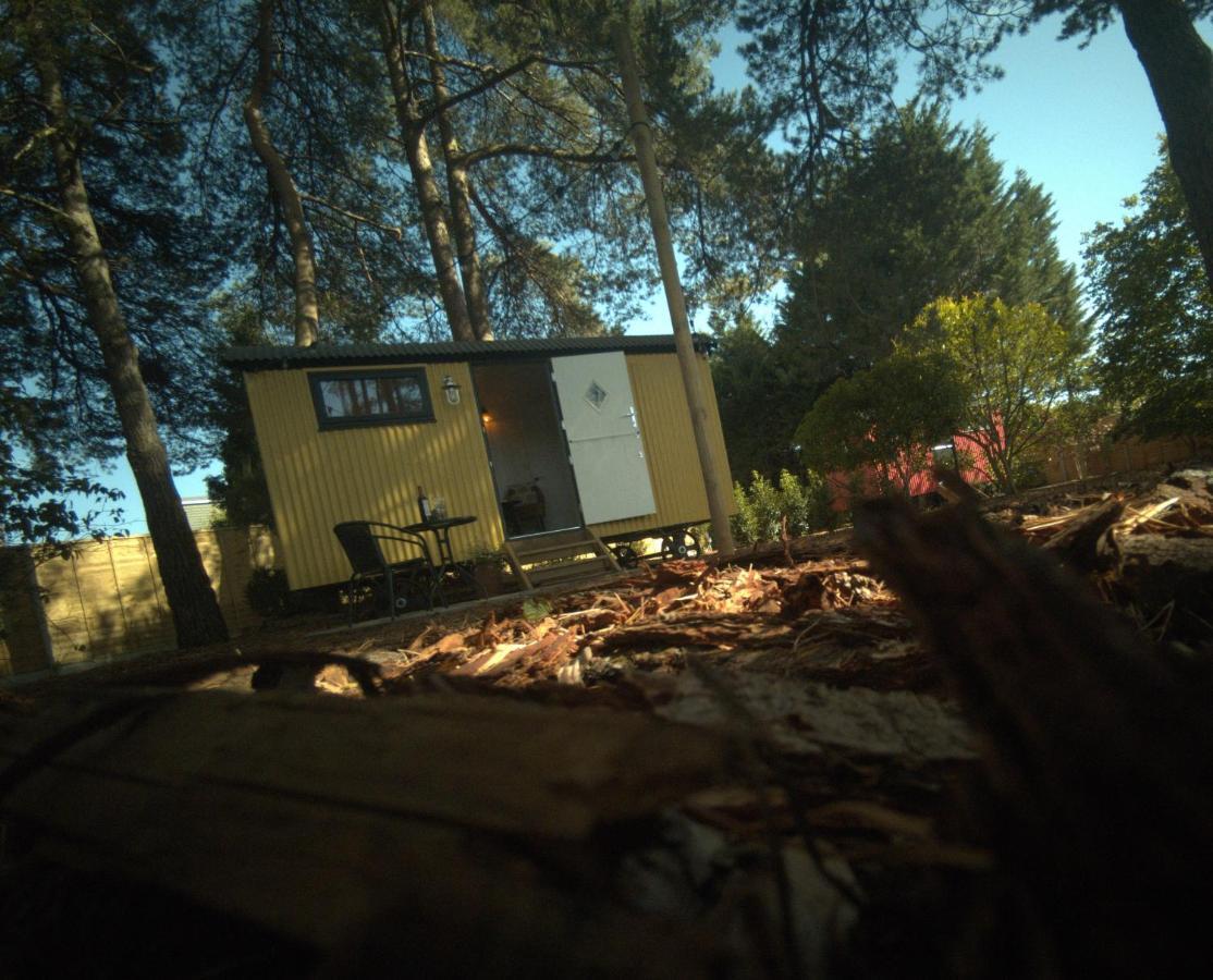 Forest Heath Shepherd'S Huts リングウッド エクステリア 写真