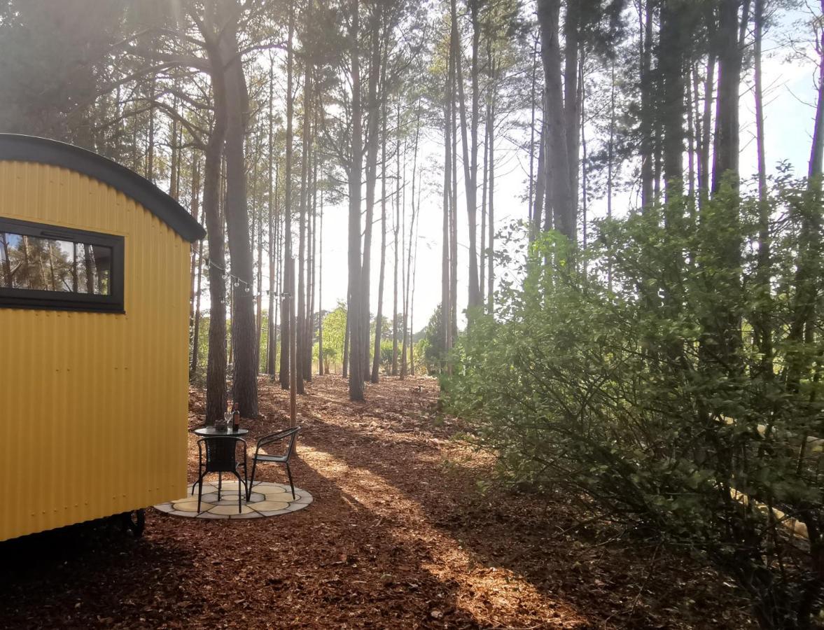 Forest Heath Shepherd'S Huts リングウッド エクステリア 写真