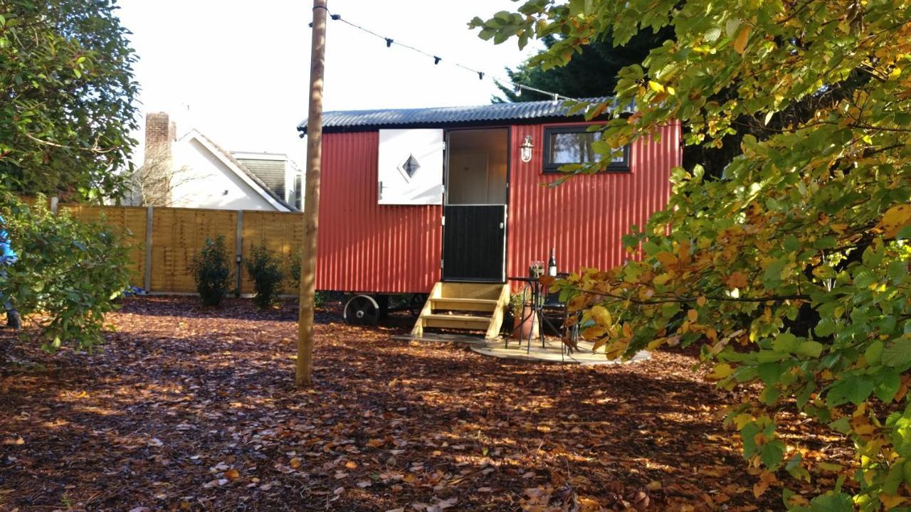 Forest Heath Shepherd'S Huts リングウッド エクステリア 写真