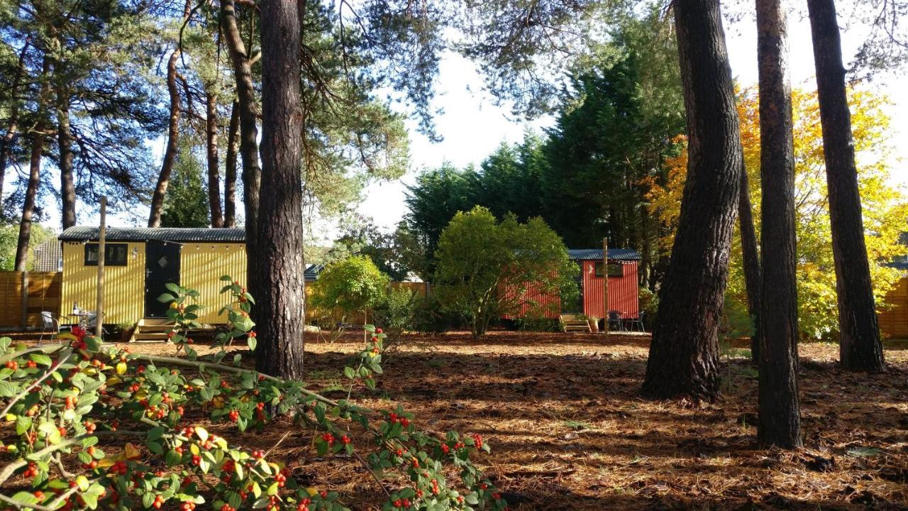 Forest Heath Shepherd'S Huts リングウッド エクステリア 写真