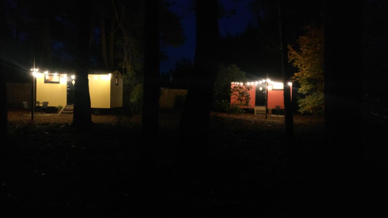 Forest Heath Shepherd'S Huts リングウッド エクステリア 写真