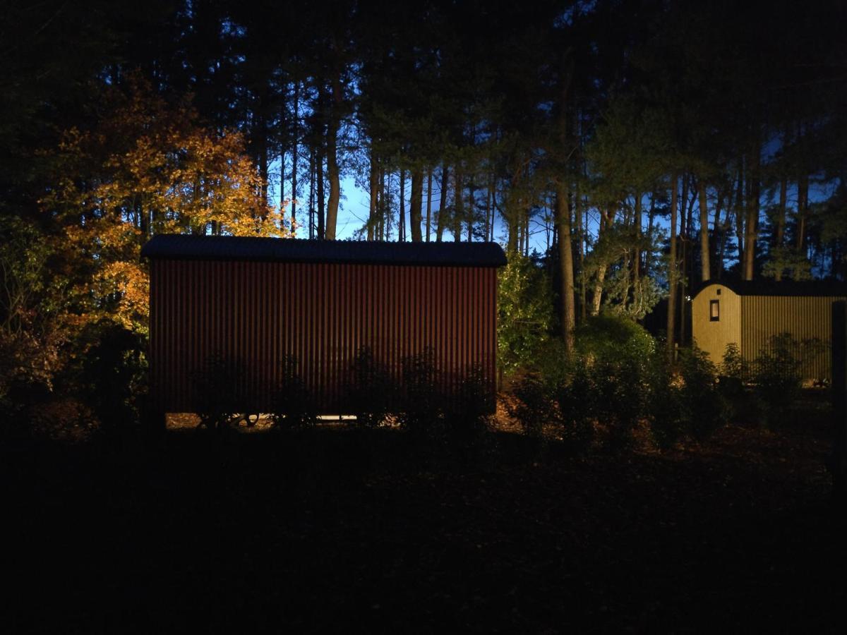 Forest Heath Shepherd'S Huts リングウッド エクステリア 写真